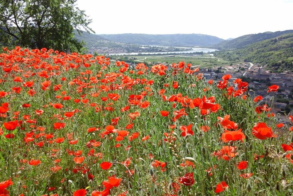Gites De Revirand Sarras Dış mekan fotoğraf