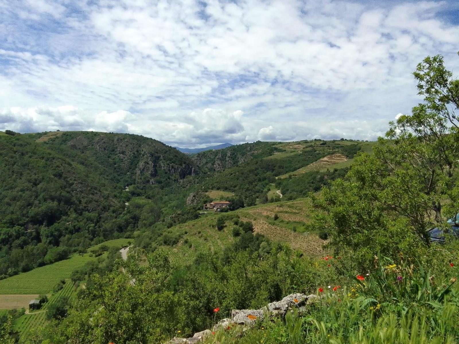 Gites De Revirand Sarras Dış mekan fotoğraf