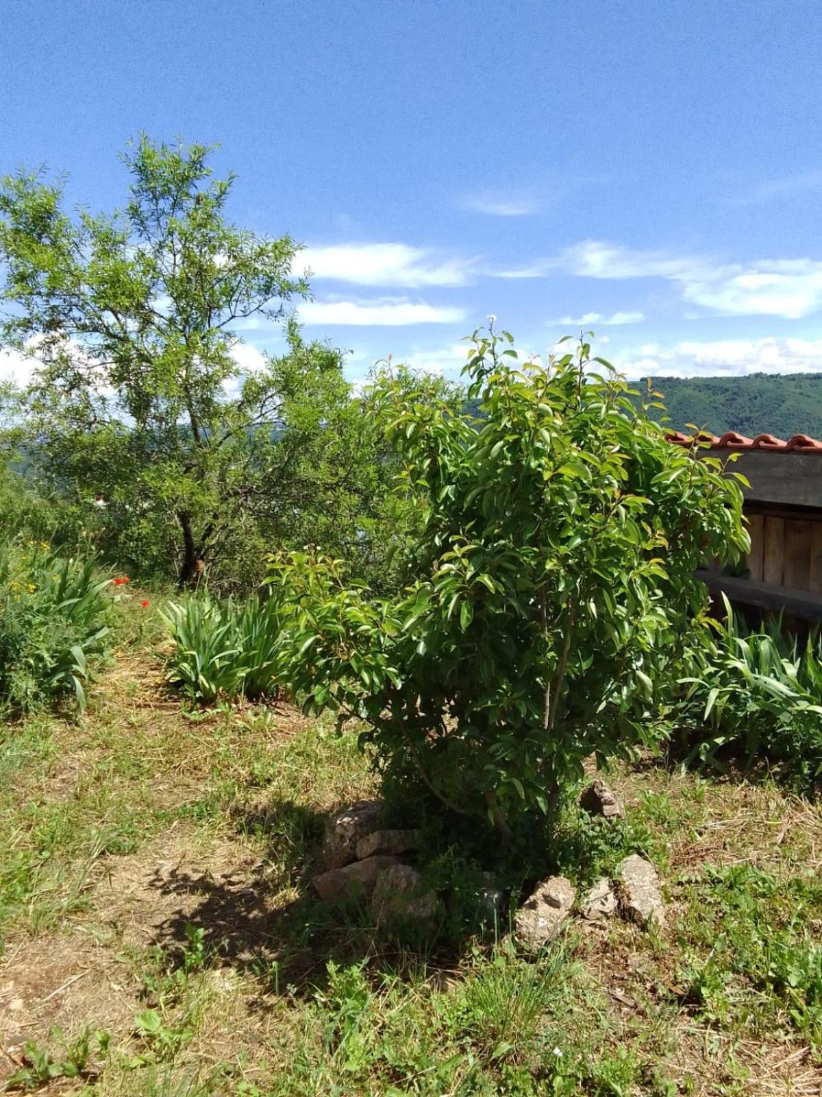 Gites De Revirand Sarras Dış mekan fotoğraf