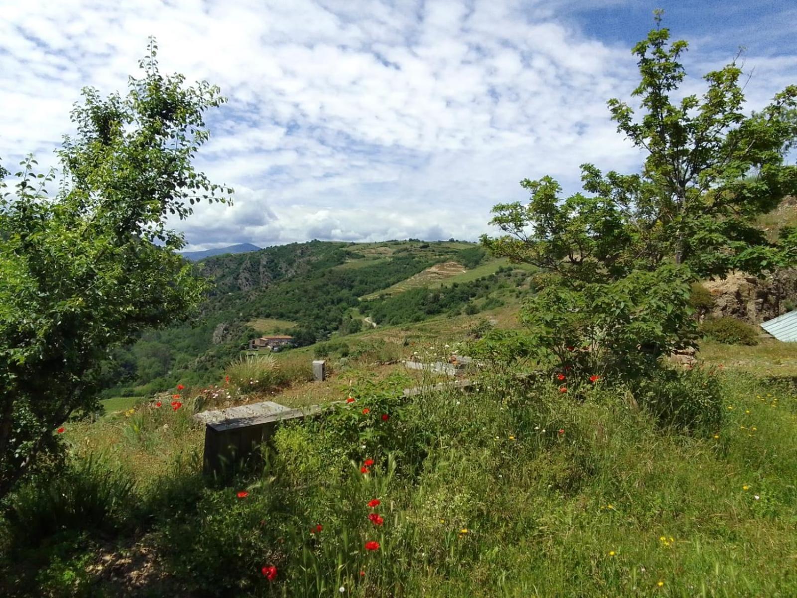Gites De Revirand Sarras Dış mekan fotoğraf